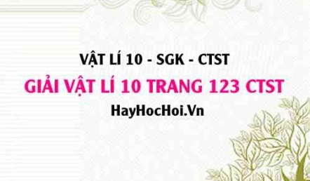 Giải Vật lí 10 Chân trời sáng tạo trang 123 SGK
